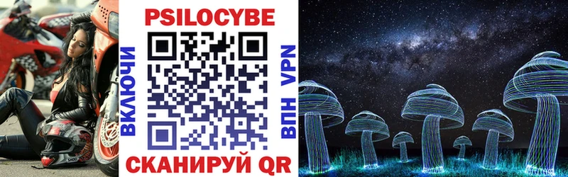 Купить закладки  Трубчевск  Псилоцибиновые грибы мухоморы 